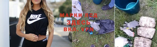 гидропоника Дмитриев