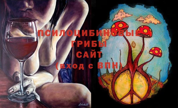 дживик Дмитров