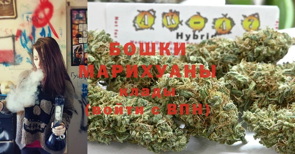 дживик Дмитров
